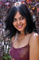 Bindu Madhavi Photo Gallery